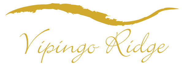 Sponsor